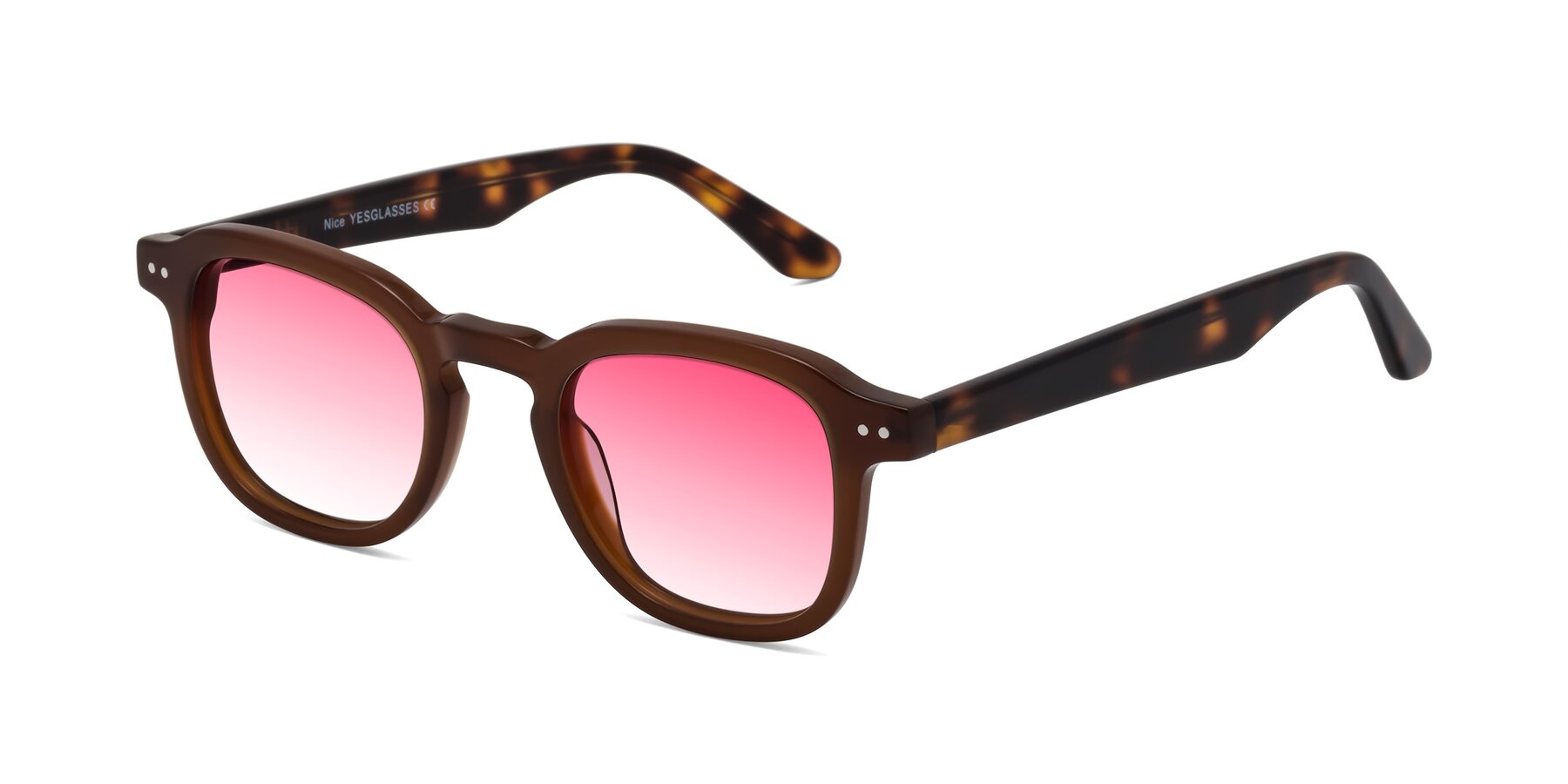 Angle of Nice in Brown-Tortoise with Pink Gradient Lenses