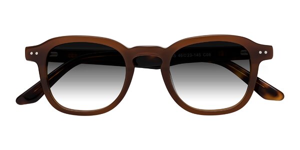 Front of Nice in Brown / Tortoise