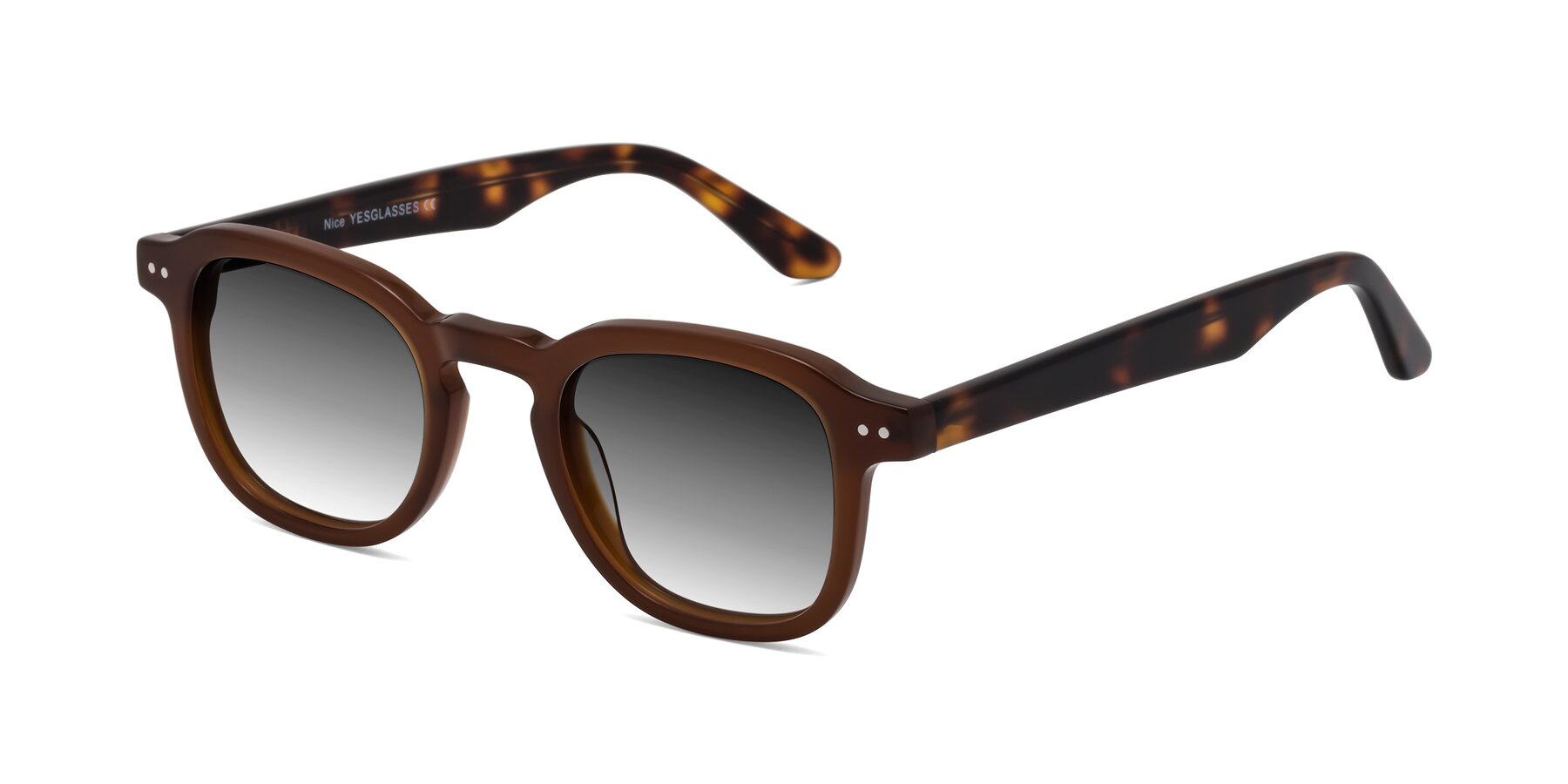 Angle of Nice in Brown-Tortoise with Gray Gradient Lenses