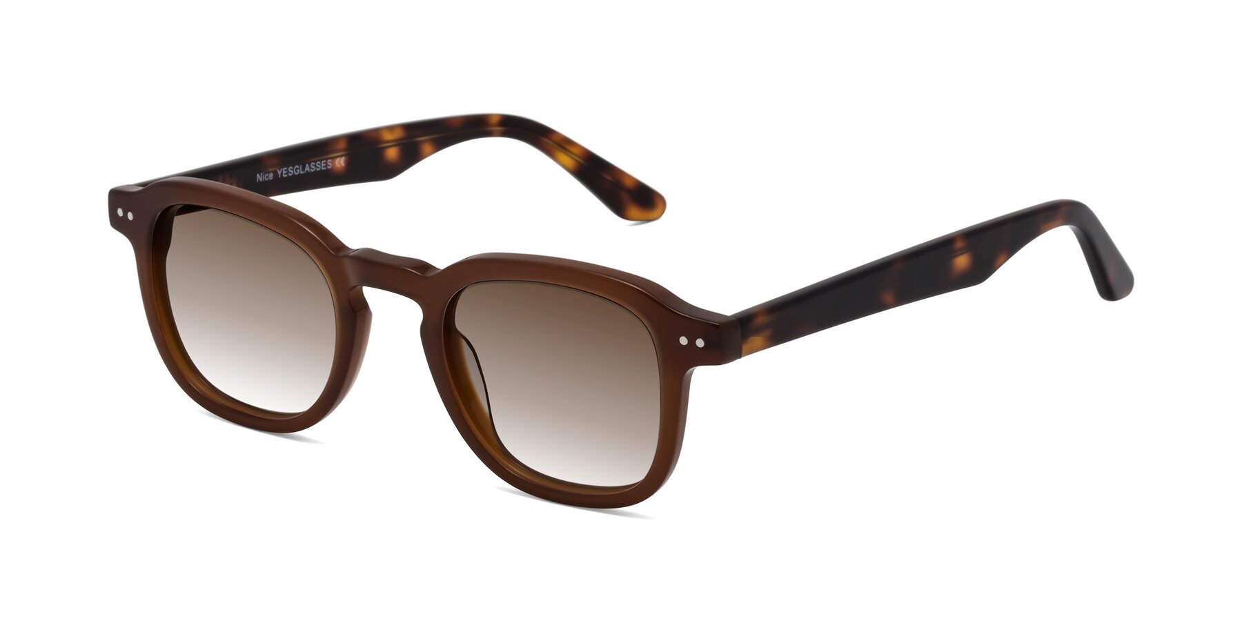 Angle of Nice in Brown-Tortoise with Brown Gradient Lenses