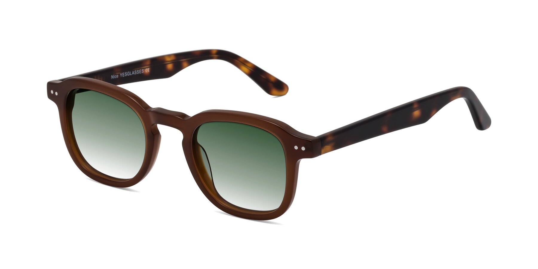 Angle of Nice in Brown-Tortoise with Green Gradient Lenses