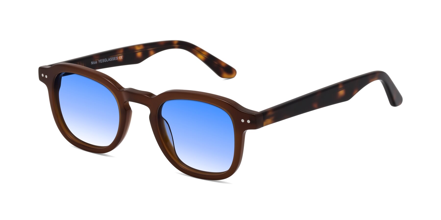 Angle of Nice in Brown-Tortoise with Blue Gradient Lenses