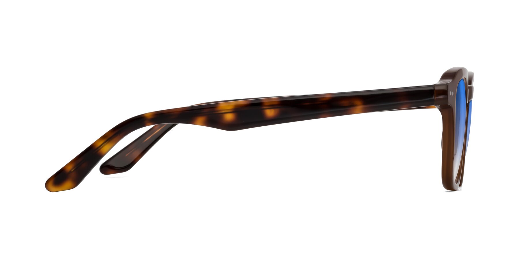 Side of Nice in Brown-Tortoise with Blue Gradient Lenses