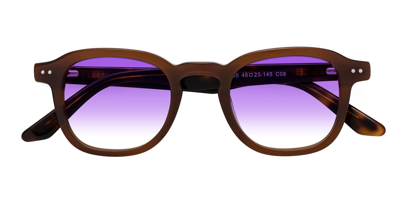 Nice - Brown / Tortoise Gradient Sunglasses