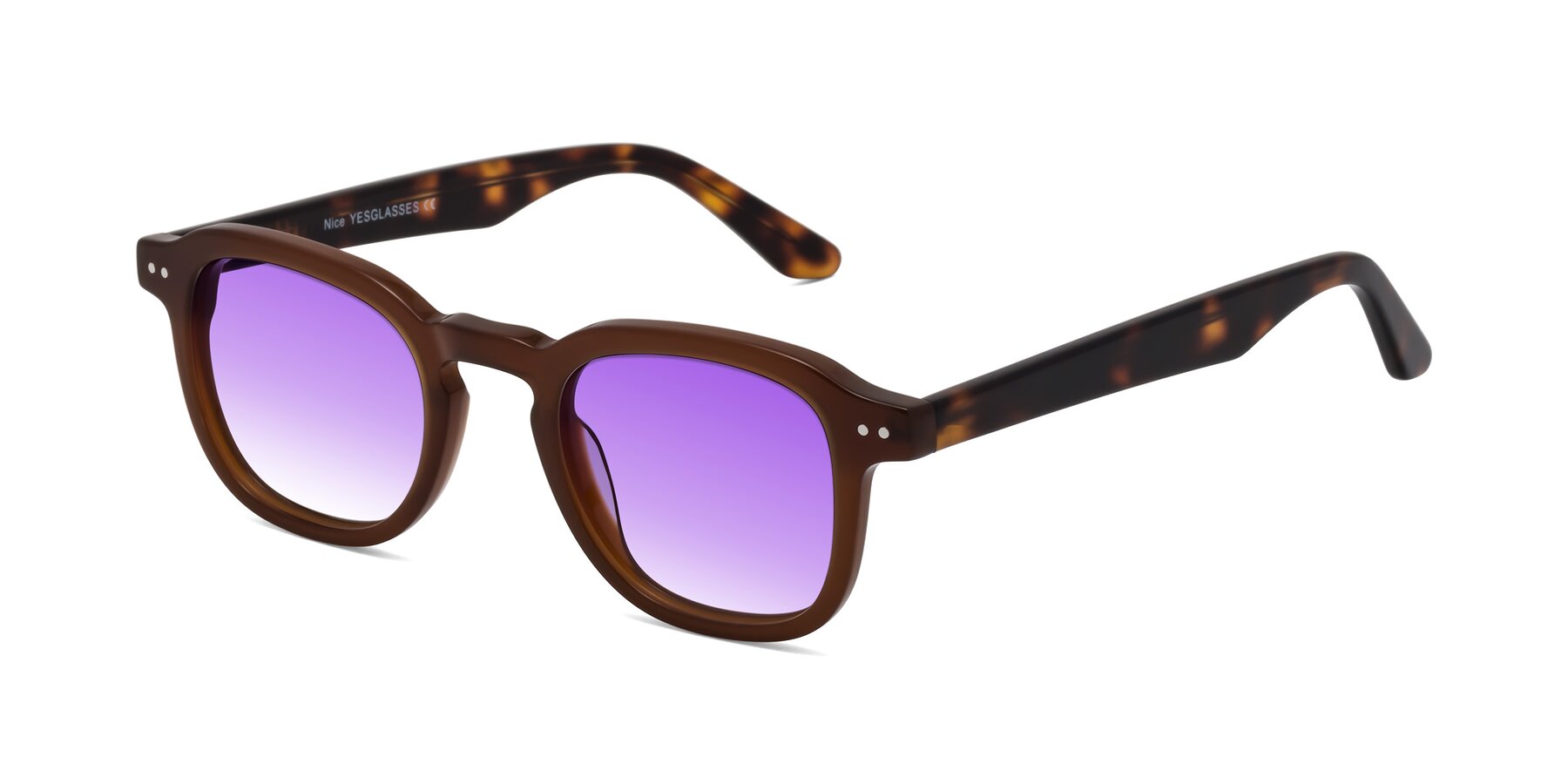 Angle of Nice in Brown-Tortoise with Purple Gradient Lenses