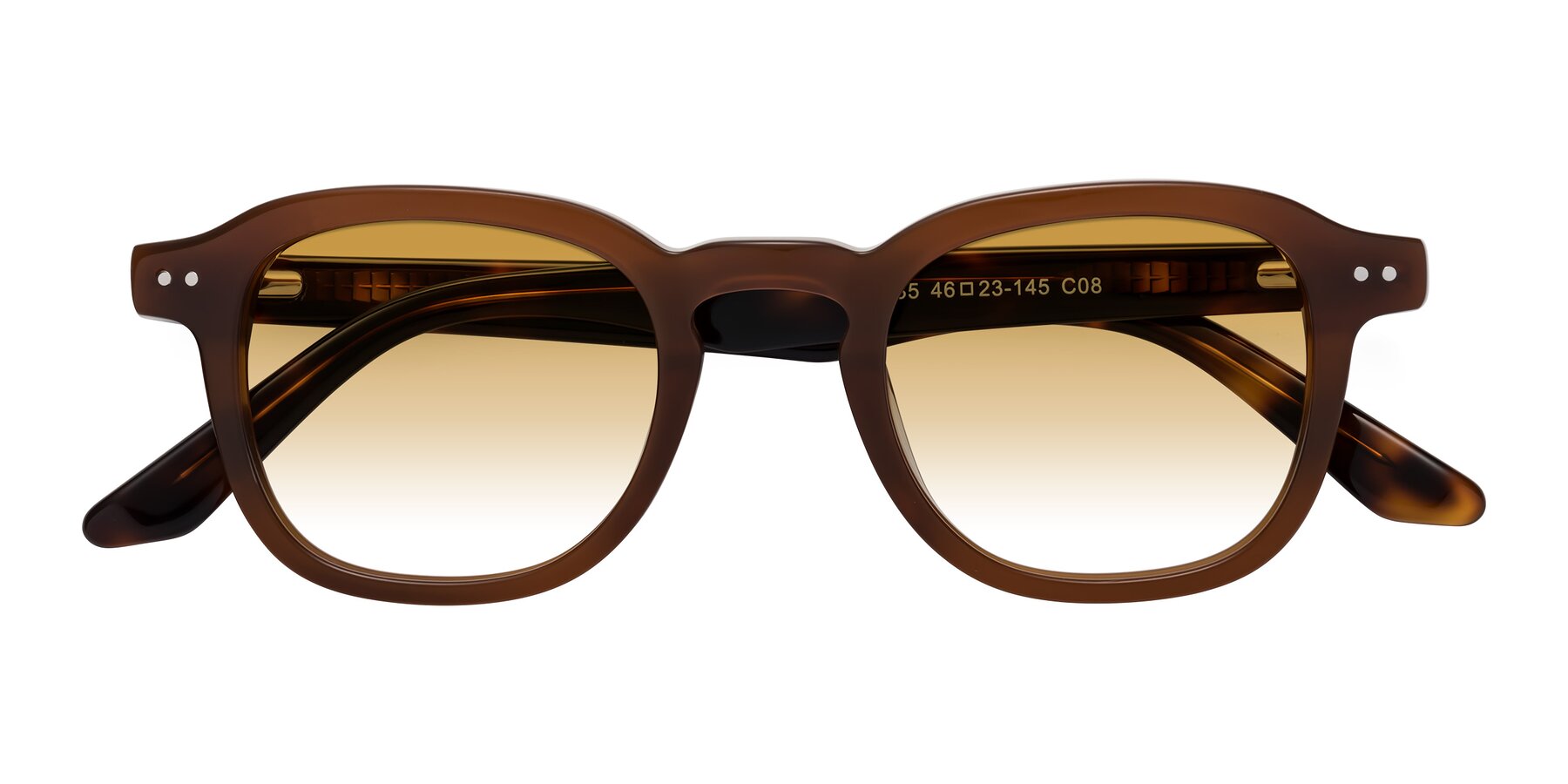 Folded Front of Nice in Brown-Tortoise with Champagne Gradient Lenses