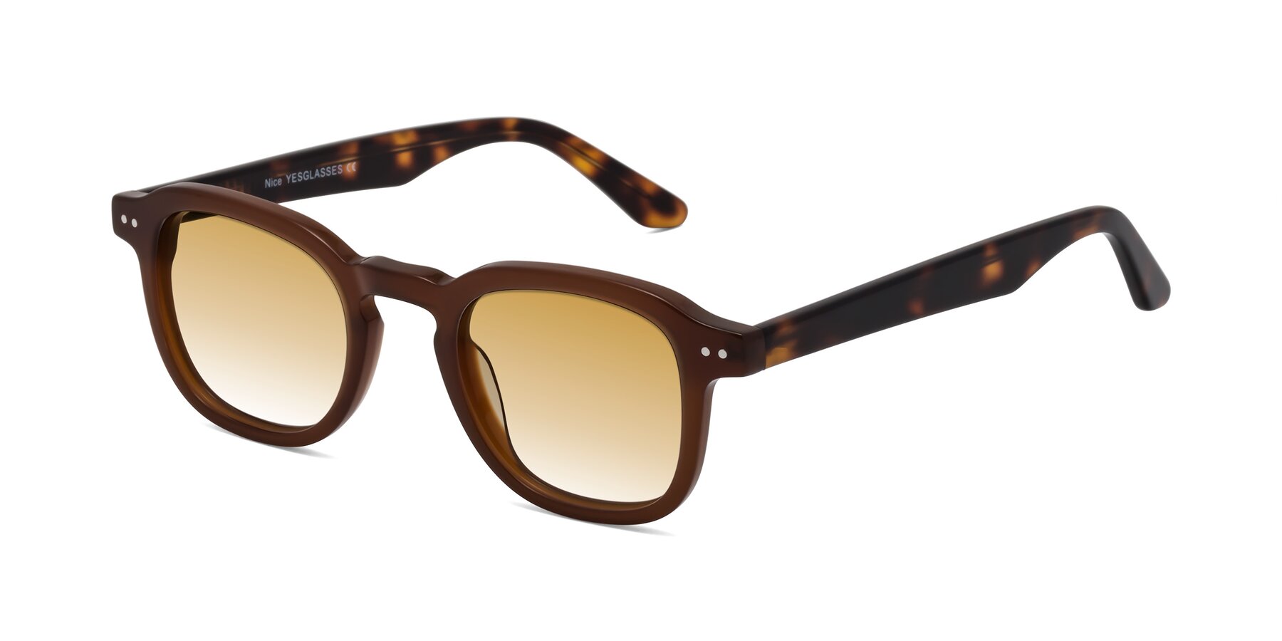 Angle of Nice in Brown-Tortoise with Champagne Gradient Lenses