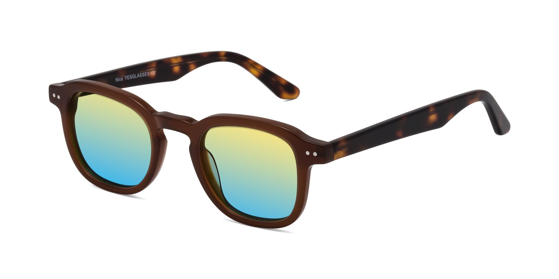 Angle of Nice in Brown-Tortoise with Yellow / Blue Gradient Lenses