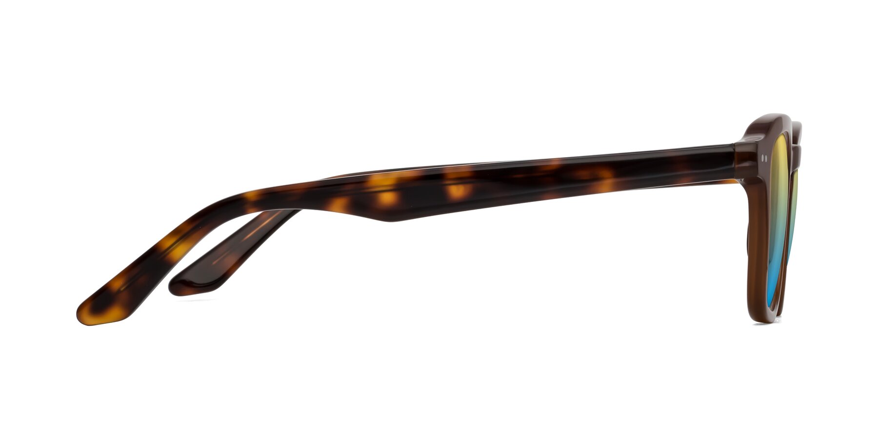 Side of Nice in Brown-Tortoise with Yellow / Blue Gradient Lenses