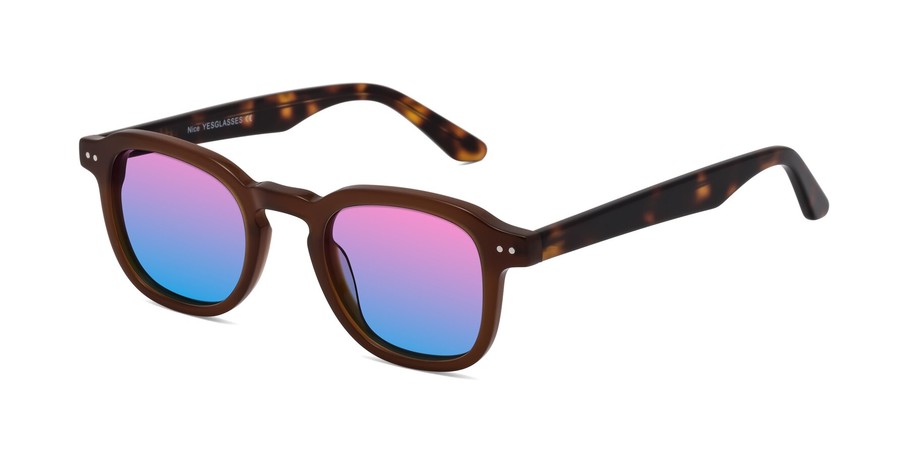 Angle of Nice in Brown-Tortoise with Pink / Blue Gradient Lenses