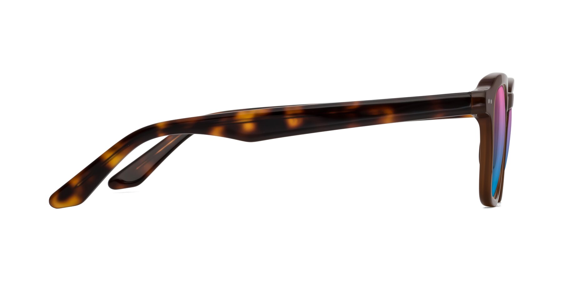 Side of Nice in Brown-Tortoise with Pink / Blue Gradient Lenses