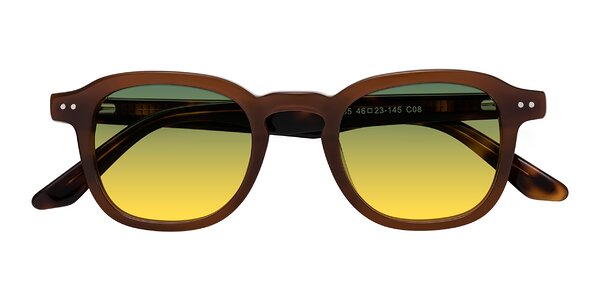 Front of Nice in Brown / Tortoise