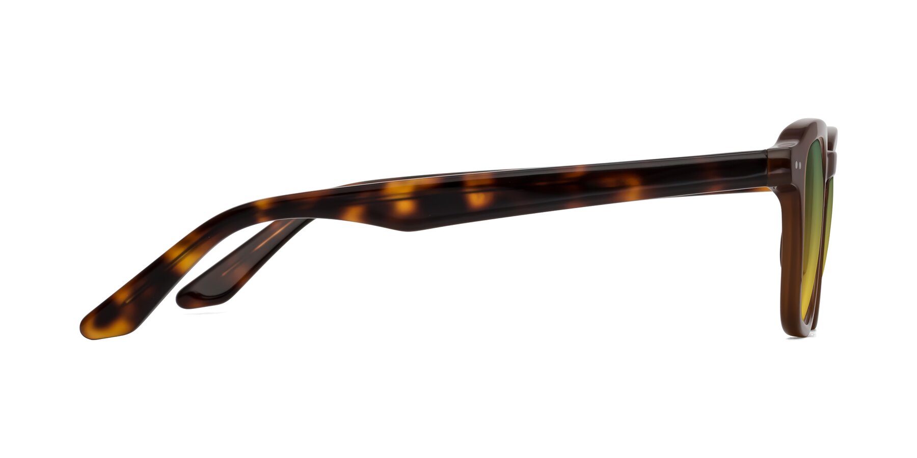 Side of Nice in Brown-Tortoise with Green / Yellow Gradient Lenses