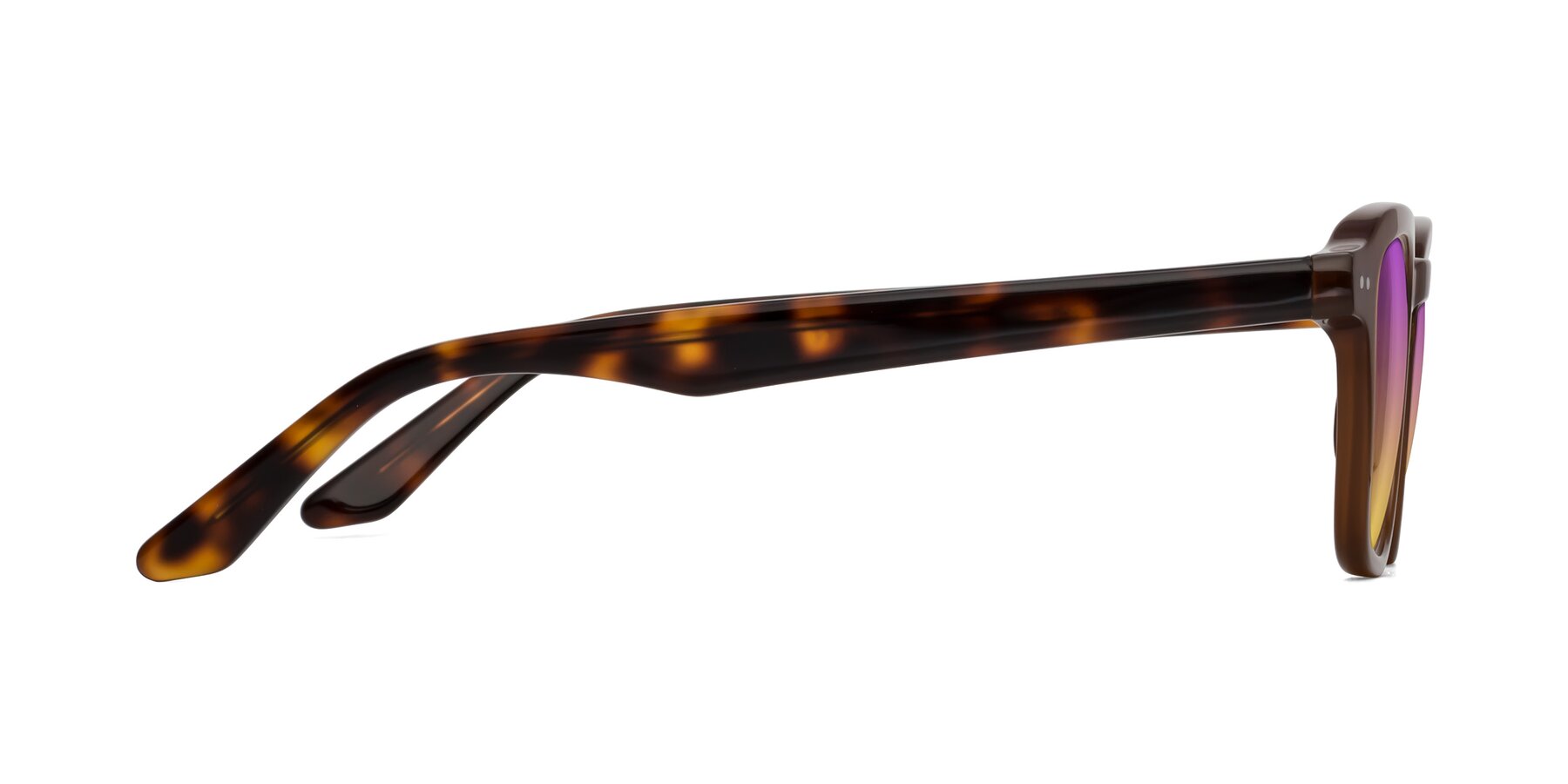 Side of Nice in Brown-Tortoise with Purple / Yellow Gradient Lenses