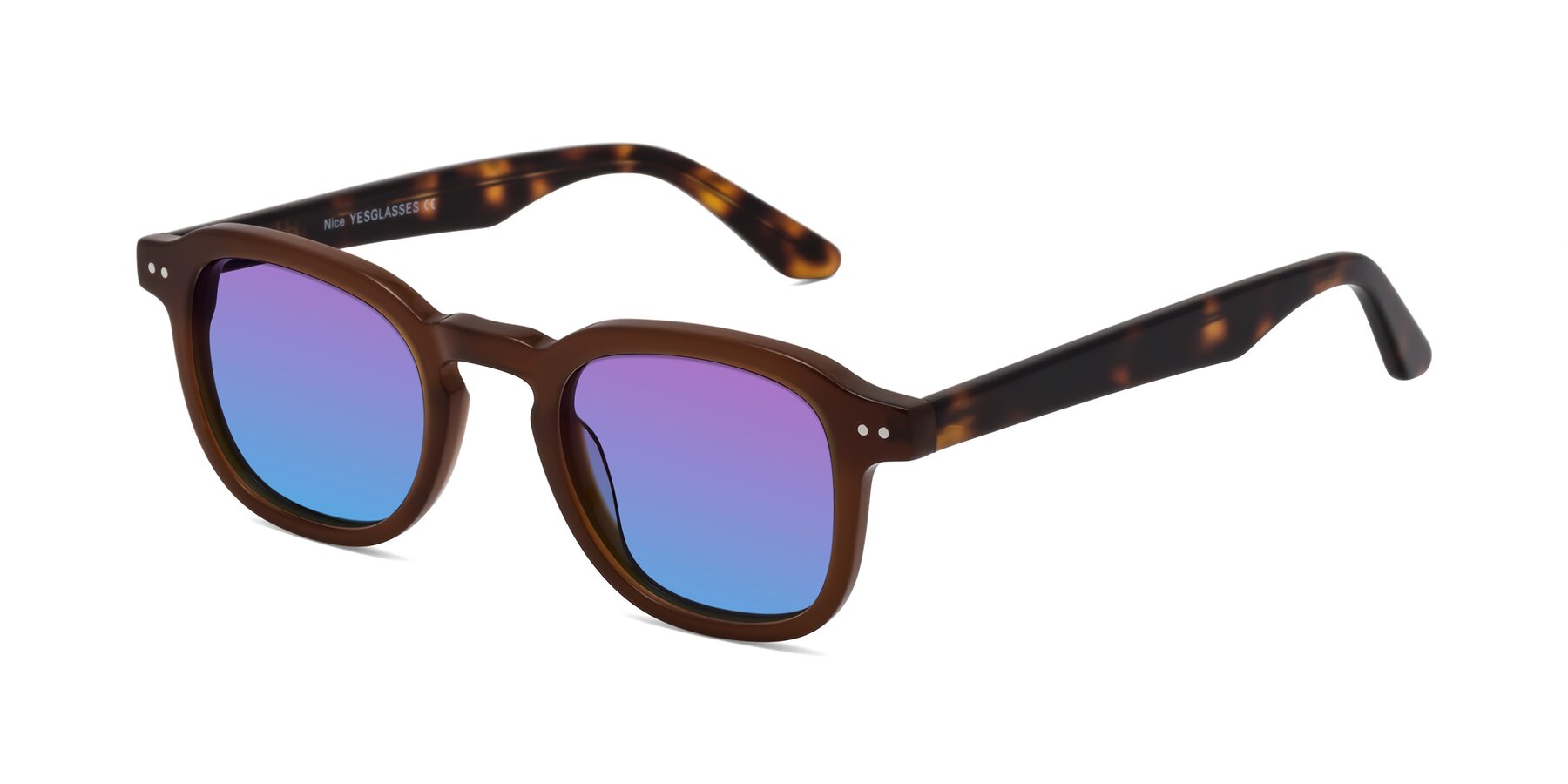 Angle of Nice in Brown-Tortoise with Purple / Blue Gradient Lenses