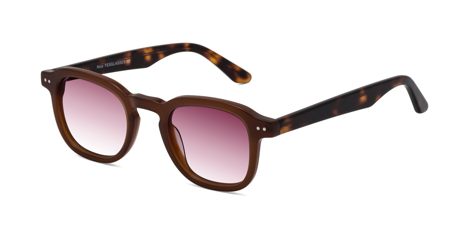 Angle of Nice in Brown-Tortoise with Wine Gradient Lenses