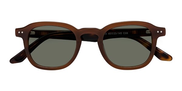 Front of Nice in Brown / Tortoise