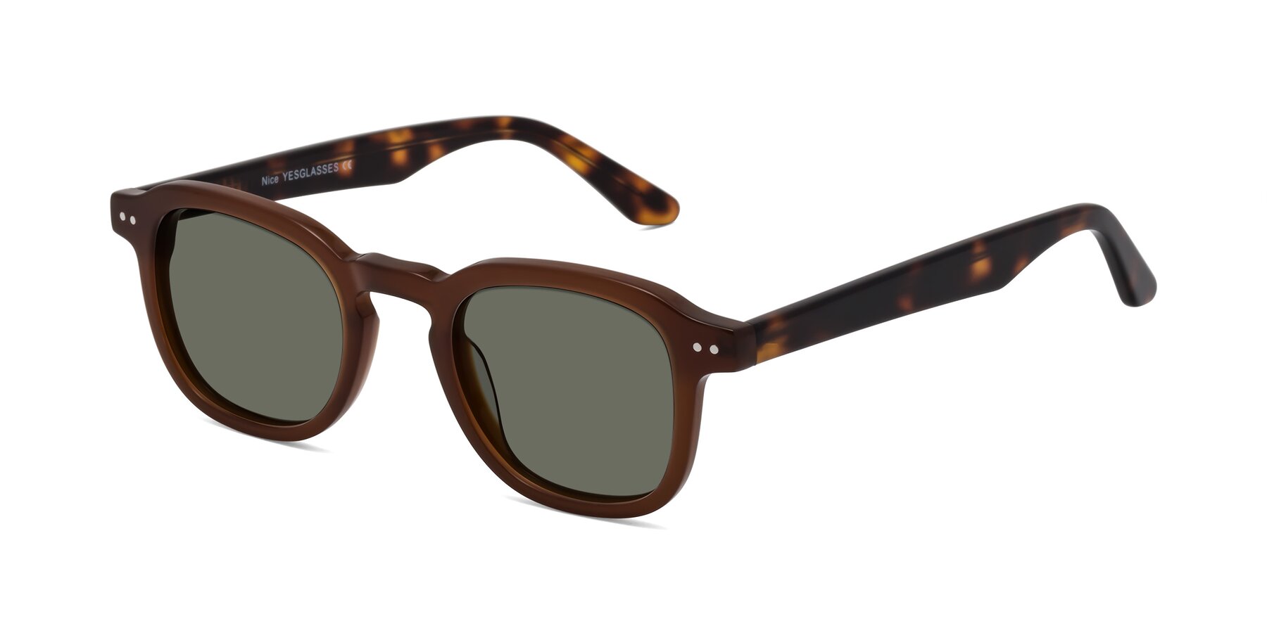 Angle of Nice in Brown-Tortoise with Gray Polarized Lenses