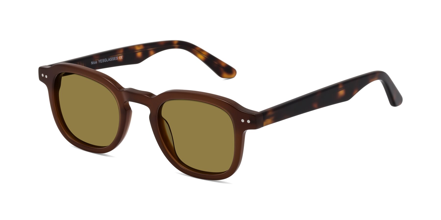 Angle of Nice in Brown-Tortoise with Brown Polarized Lenses