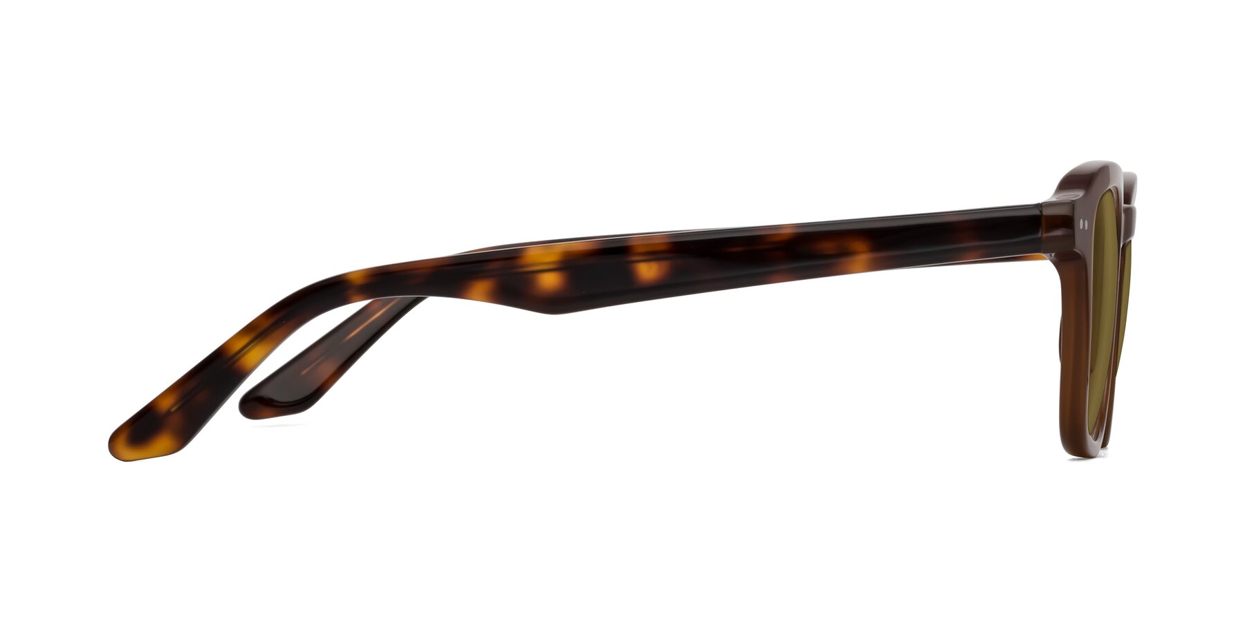 Side of Nice in Brown-Tortoise with Brown Polarized Lenses