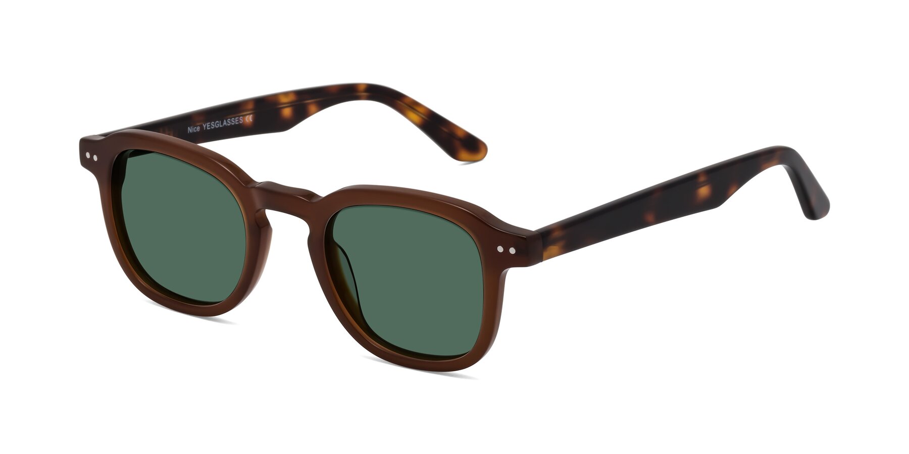 Angle of Nice in Brown-Tortoise with Green Polarized Lenses