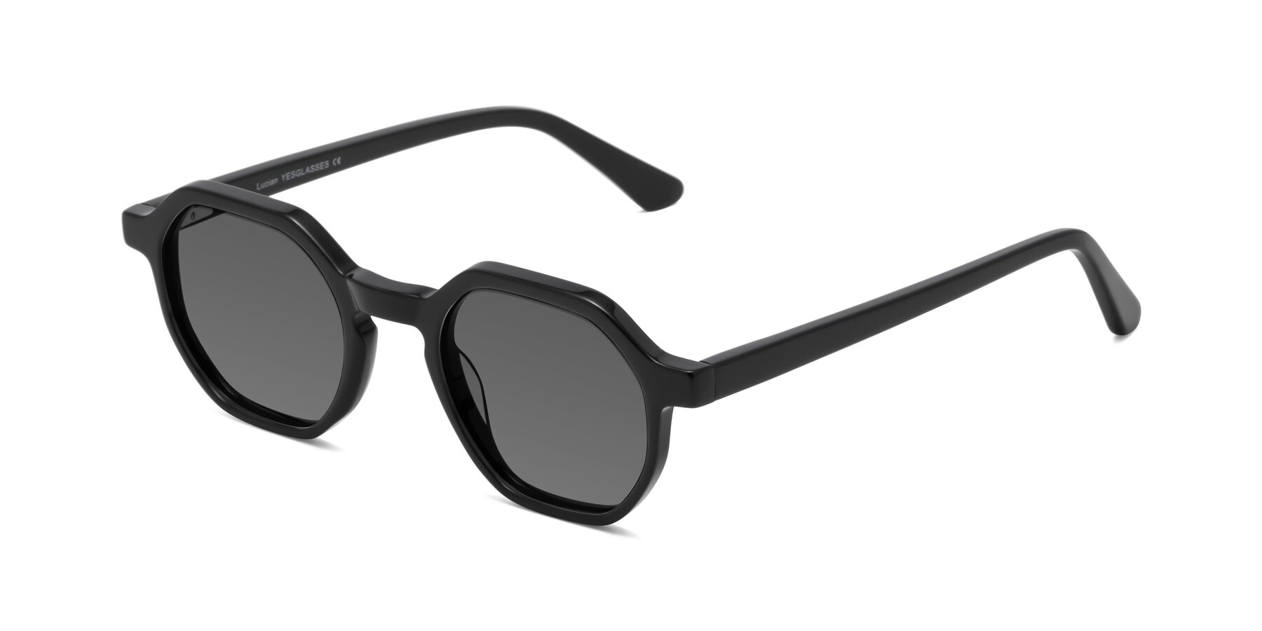 Angle of Lucian in Black with Medium Gray Tinted Lenses