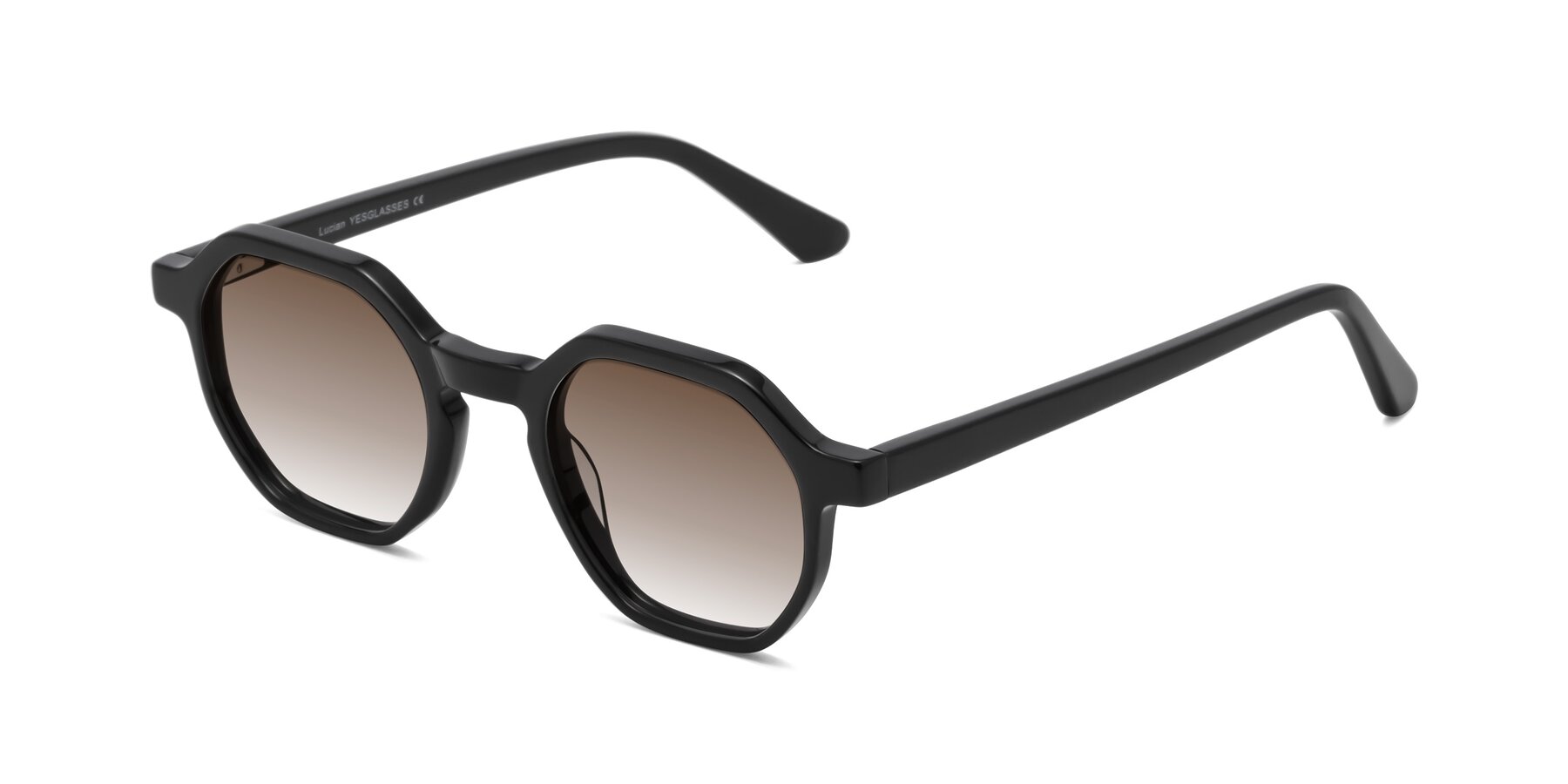 Angle of Lucian in Black with Brown Gradient Lenses