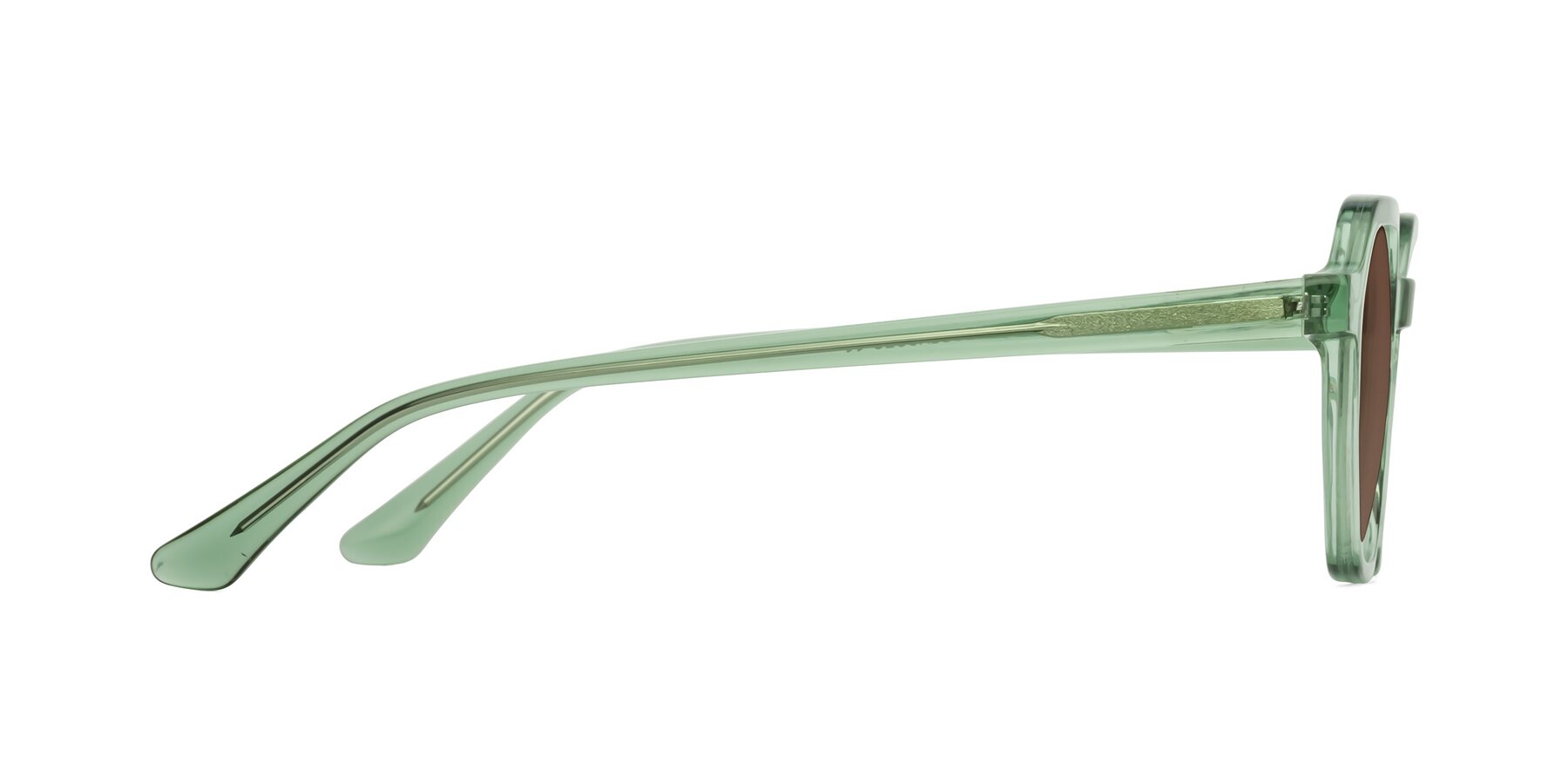 Side of Lucian in Light Green with Brown Tinted Lenses