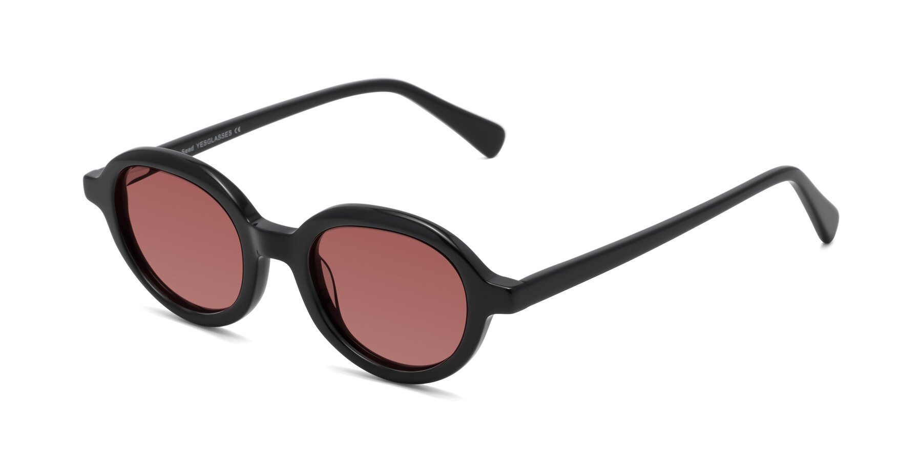 Angle of Seed in Black with Garnet Tinted Lenses