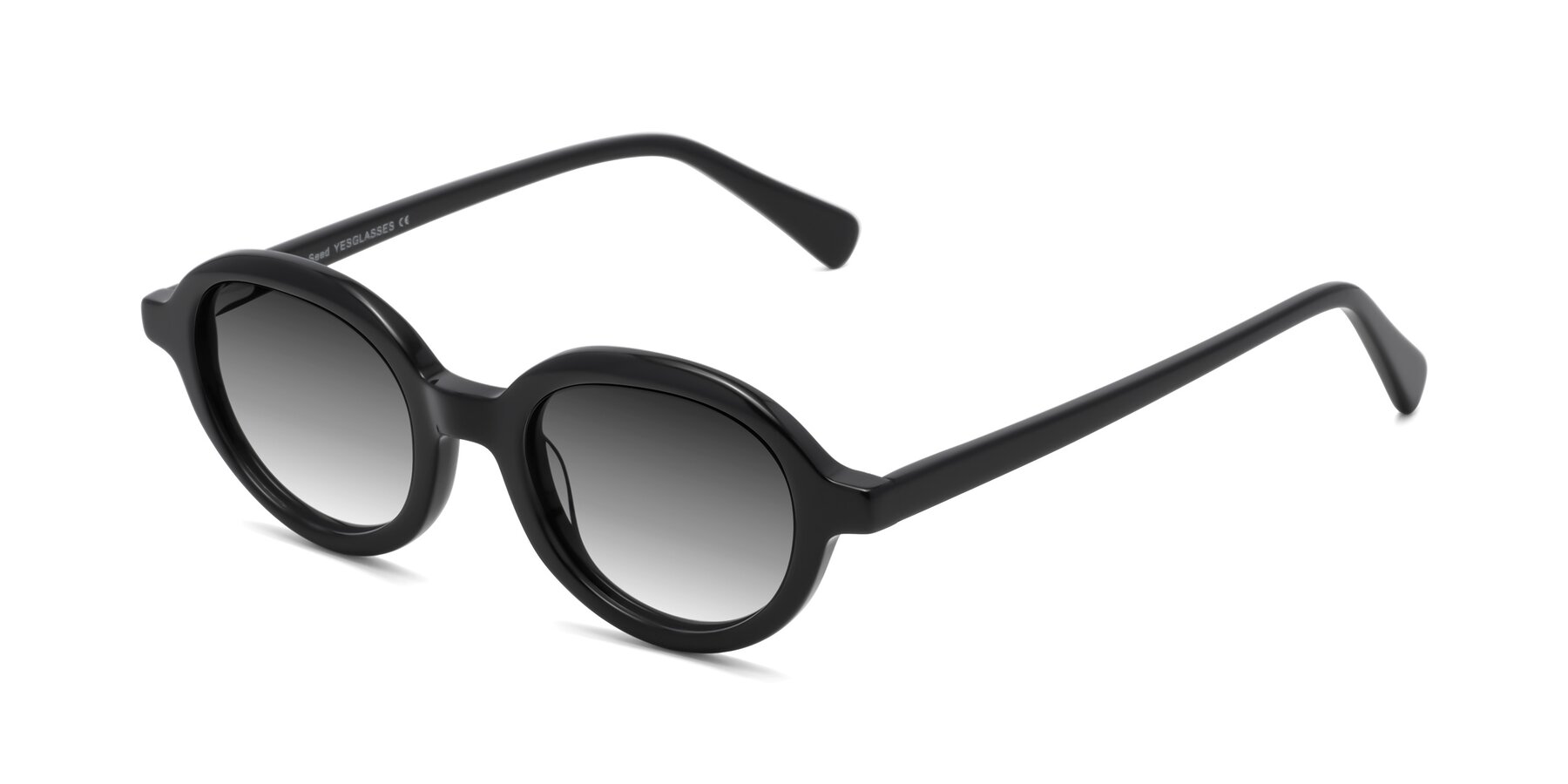 Angle of Seed in Black with Gray Gradient Lenses