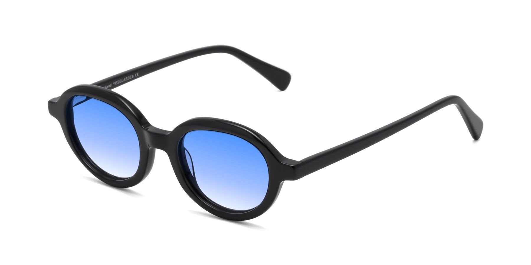 Angle of Seed in Black with Blue Gradient Lenses