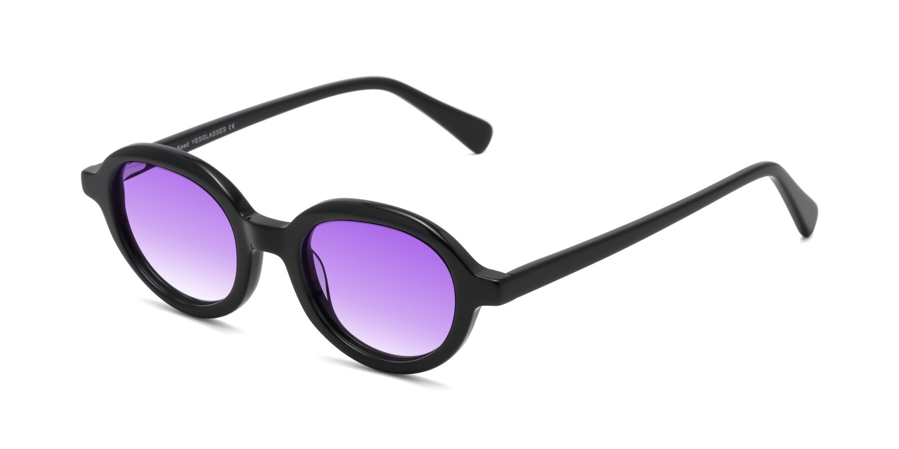 Angle of Seed in Black with Purple Gradient Lenses