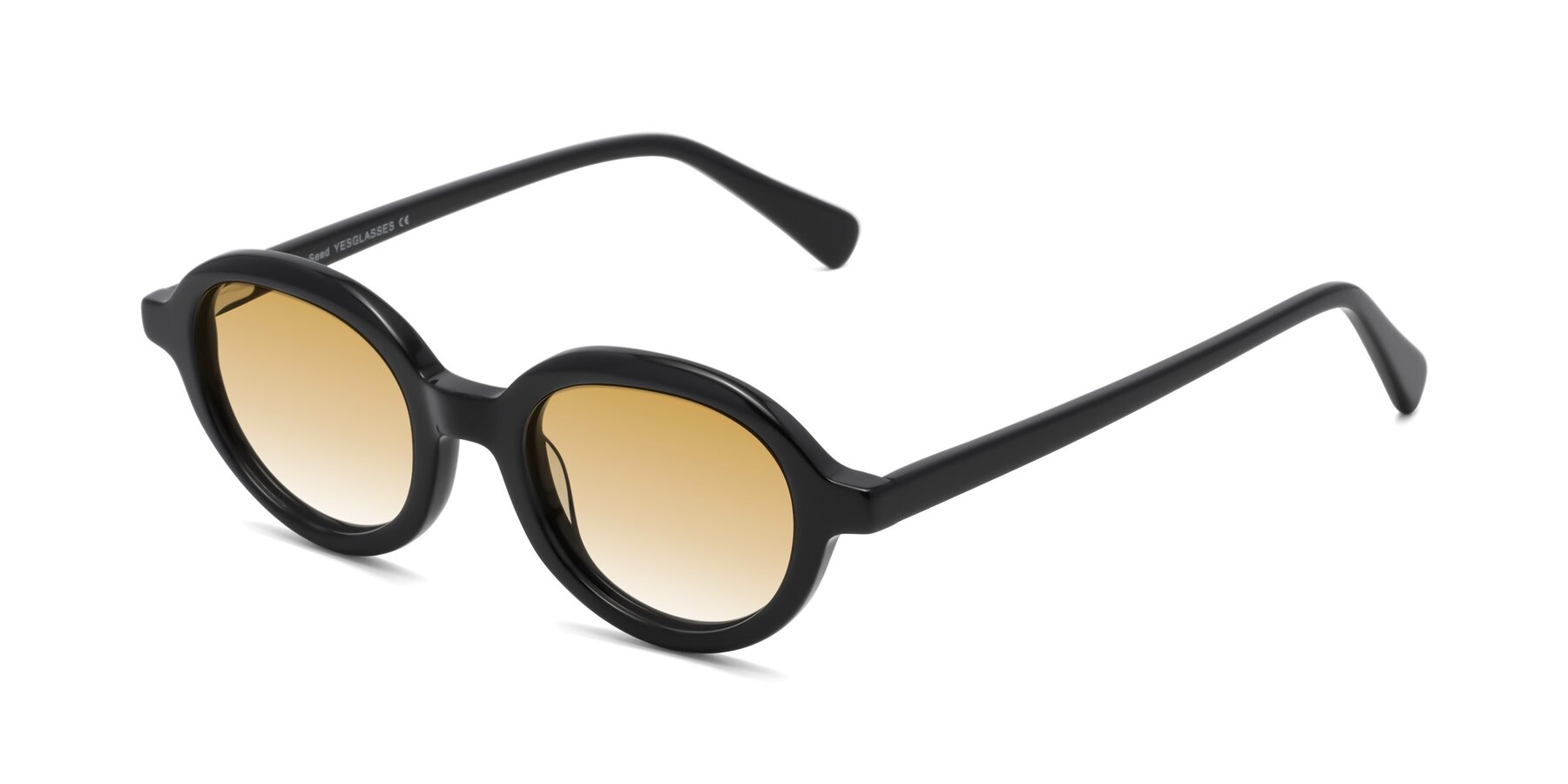 Angle of Seed in Black with Champagne Gradient Lenses
