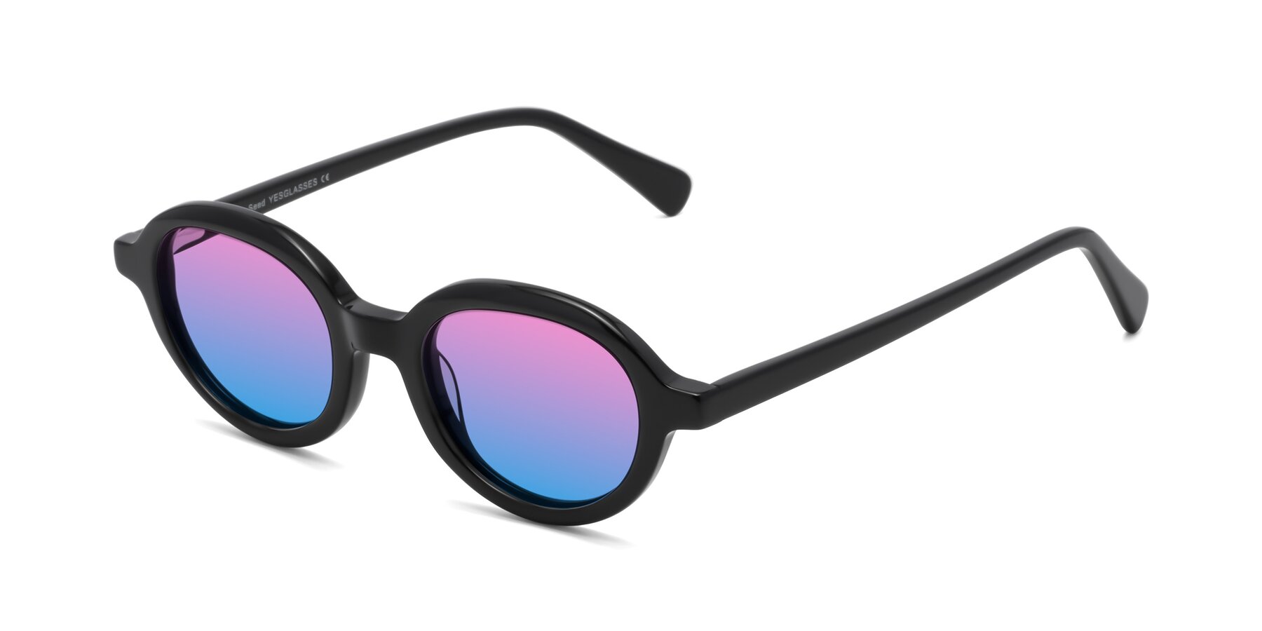 Angle of Seed in Black with Pink / Blue Gradient Lenses