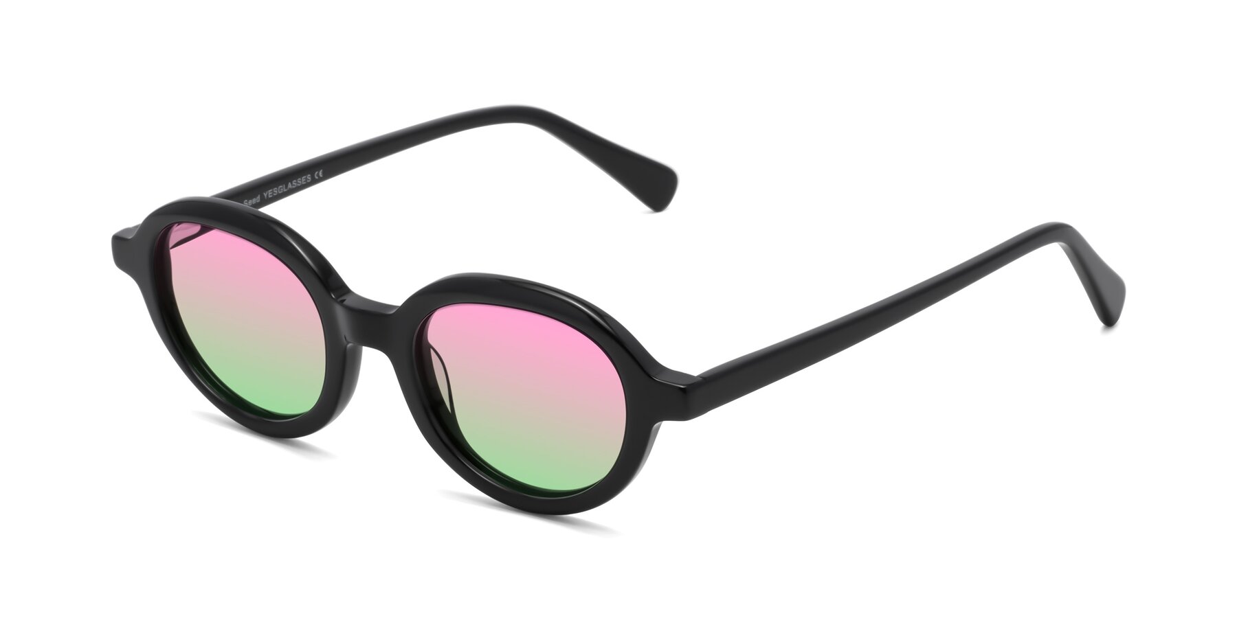 Angle of Seed in Black with Pink / Green Gradient Lenses