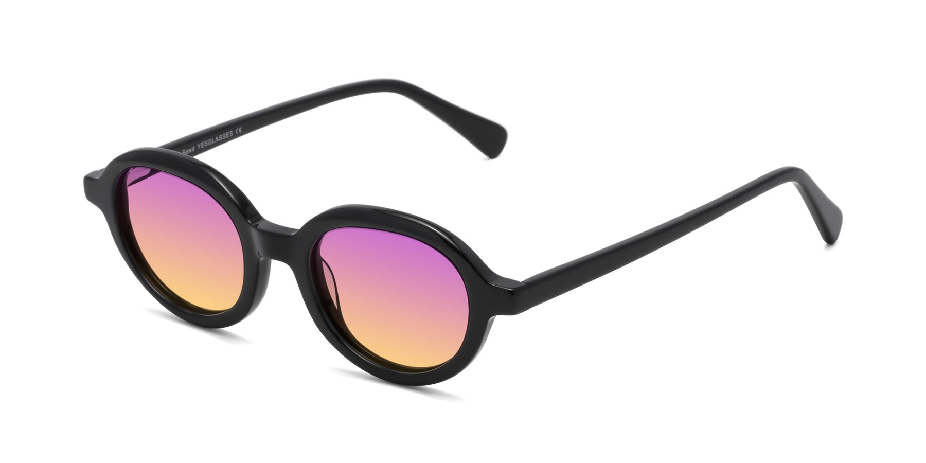 Angle of Seed in Black with Purple / Yellow Gradient Lenses
