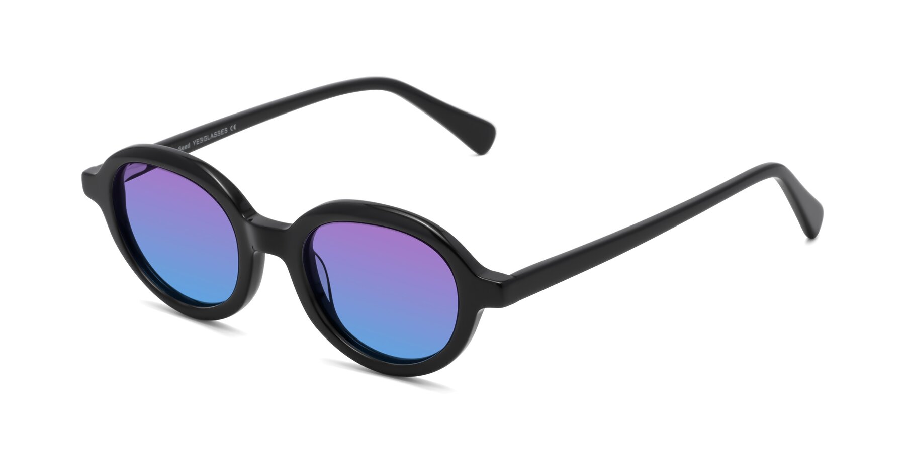 Angle of Seed in Black with Purple / Blue Gradient Lenses