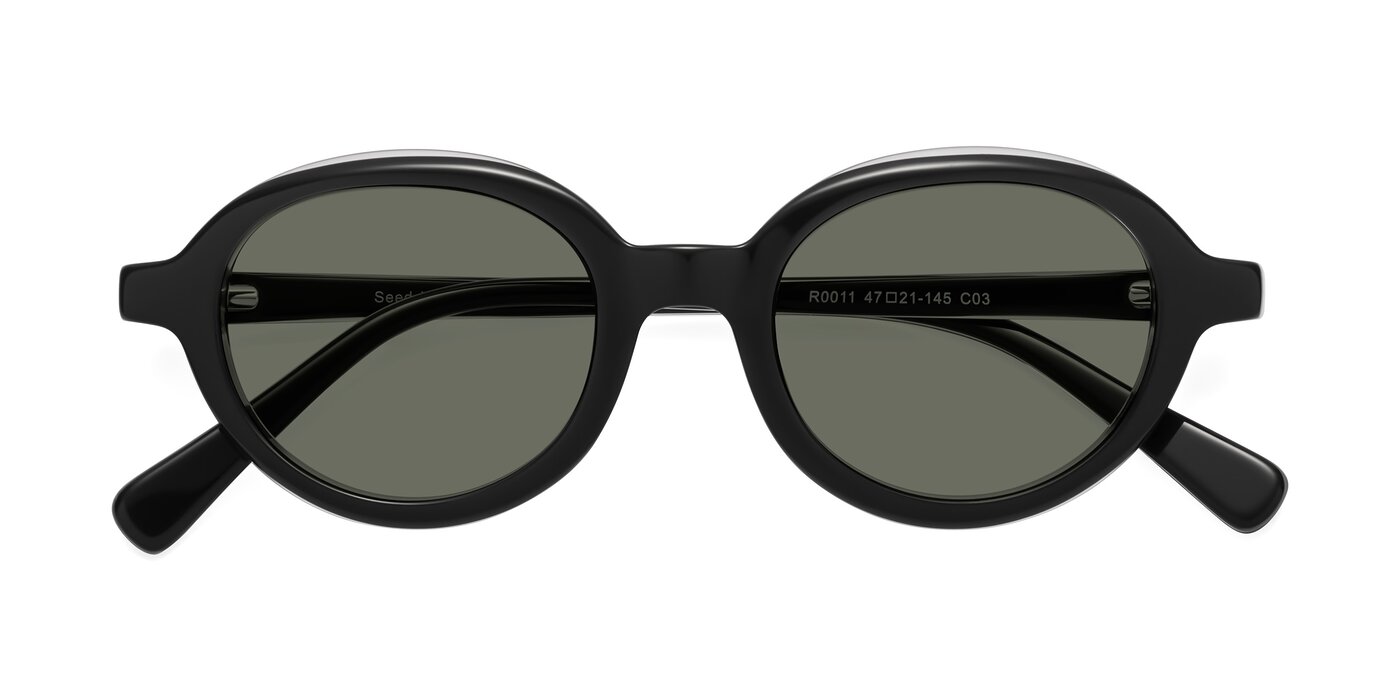 Seed - Black / Clear Polarized Sunglasses