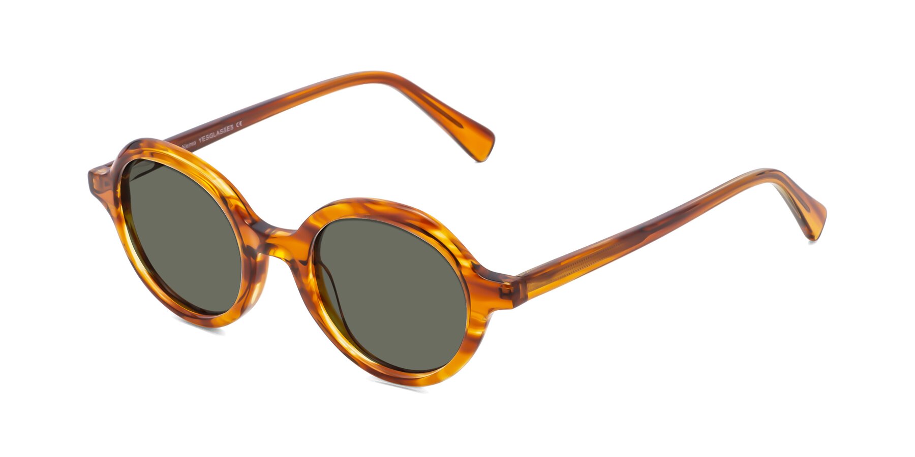 Angle of Nemo in Striped Amber with Gray Polarized Lenses