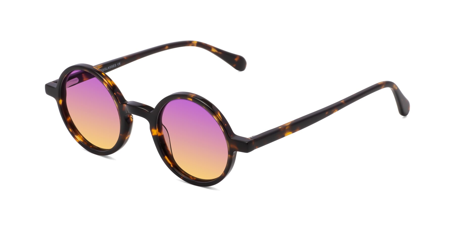 Angle of Juno in Tortoise with Purple / Yellow Gradient Lenses