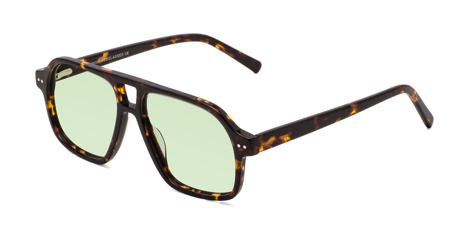 Angle of Kingston in Tortoise with Light Green Tinted Lenses
