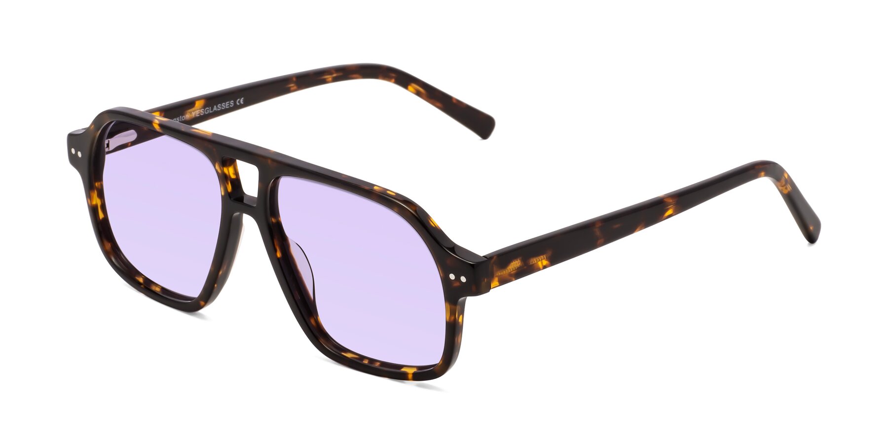 Angle of Kingston in Tortoise with Light Purple Tinted Lenses