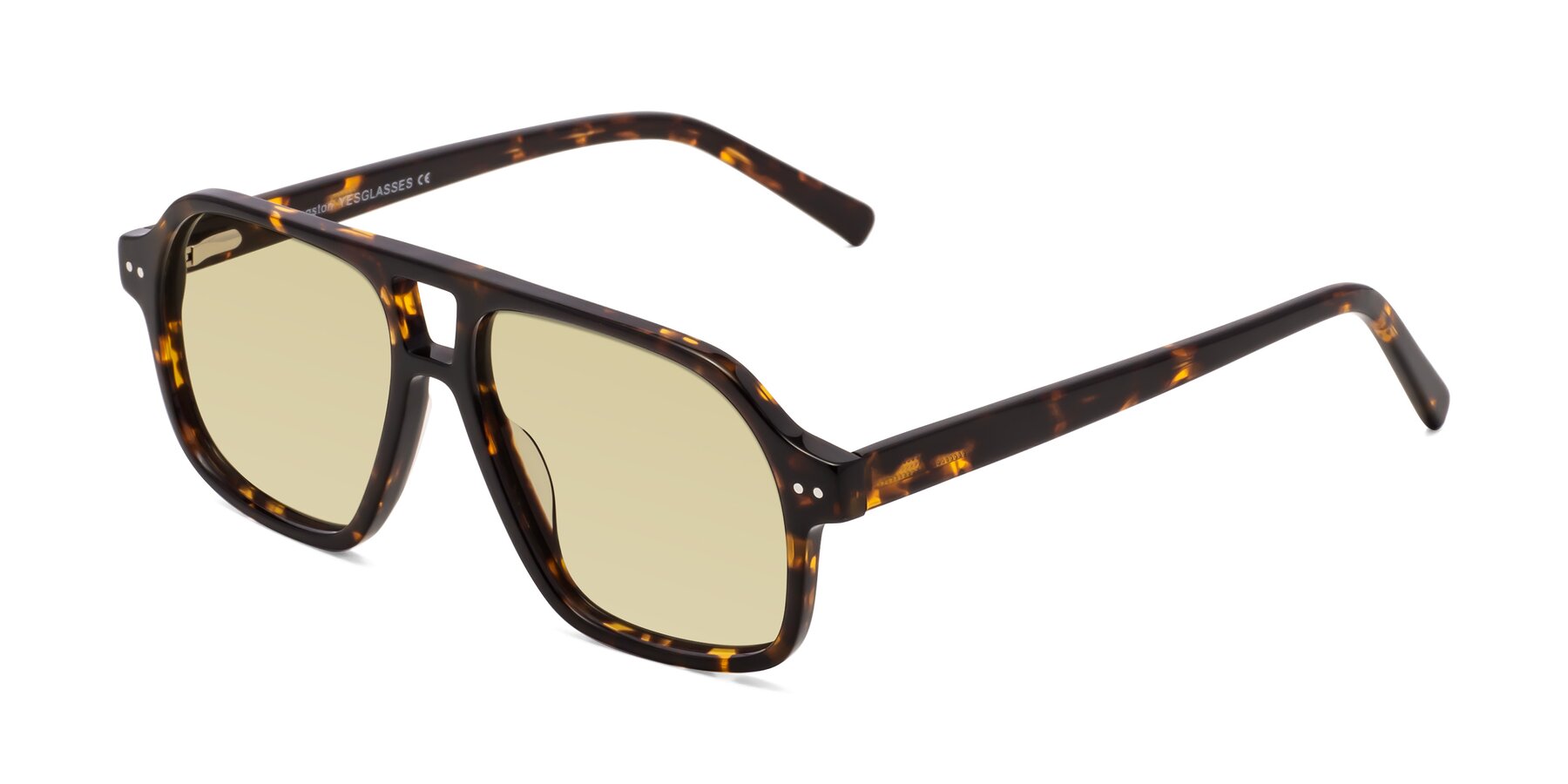 Angle of Kingston in Tortoise with Light Champagne Tinted Lenses