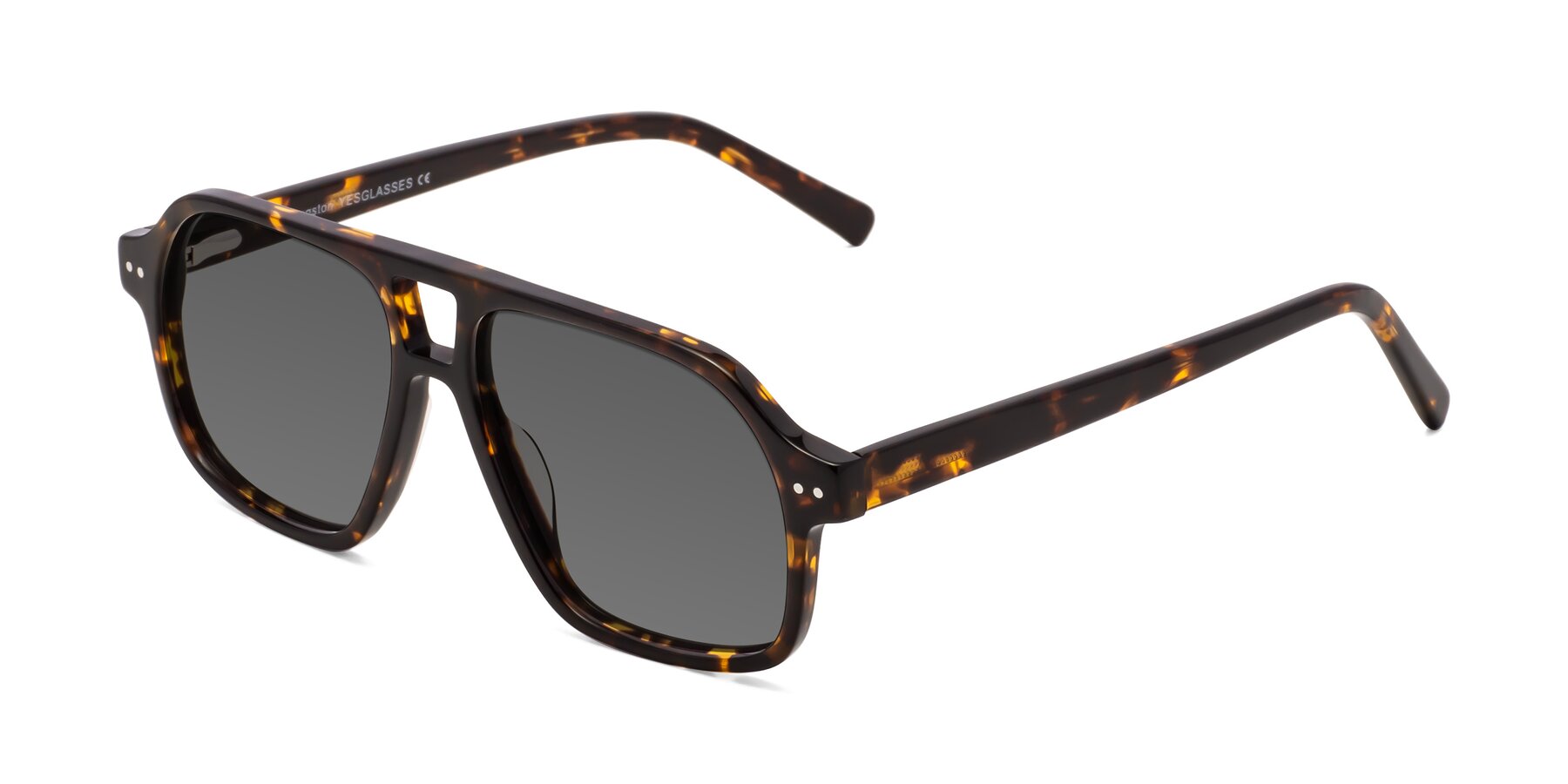 Angle of Kingston in Tortoise with Medium Gray Tinted Lenses