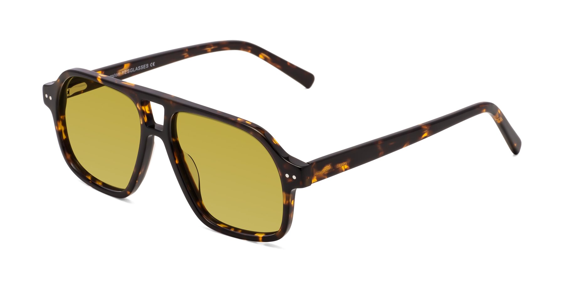 Angle of Kingston in Tortoise with Champagne Tinted Lenses