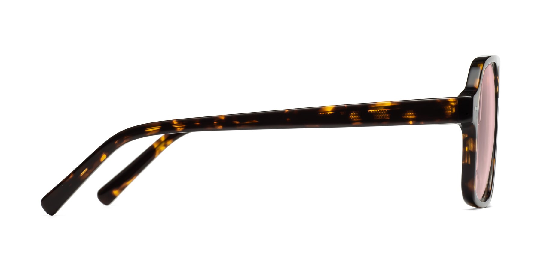 Side of Kingston in Tortoise with Light Garnet Tinted Lenses