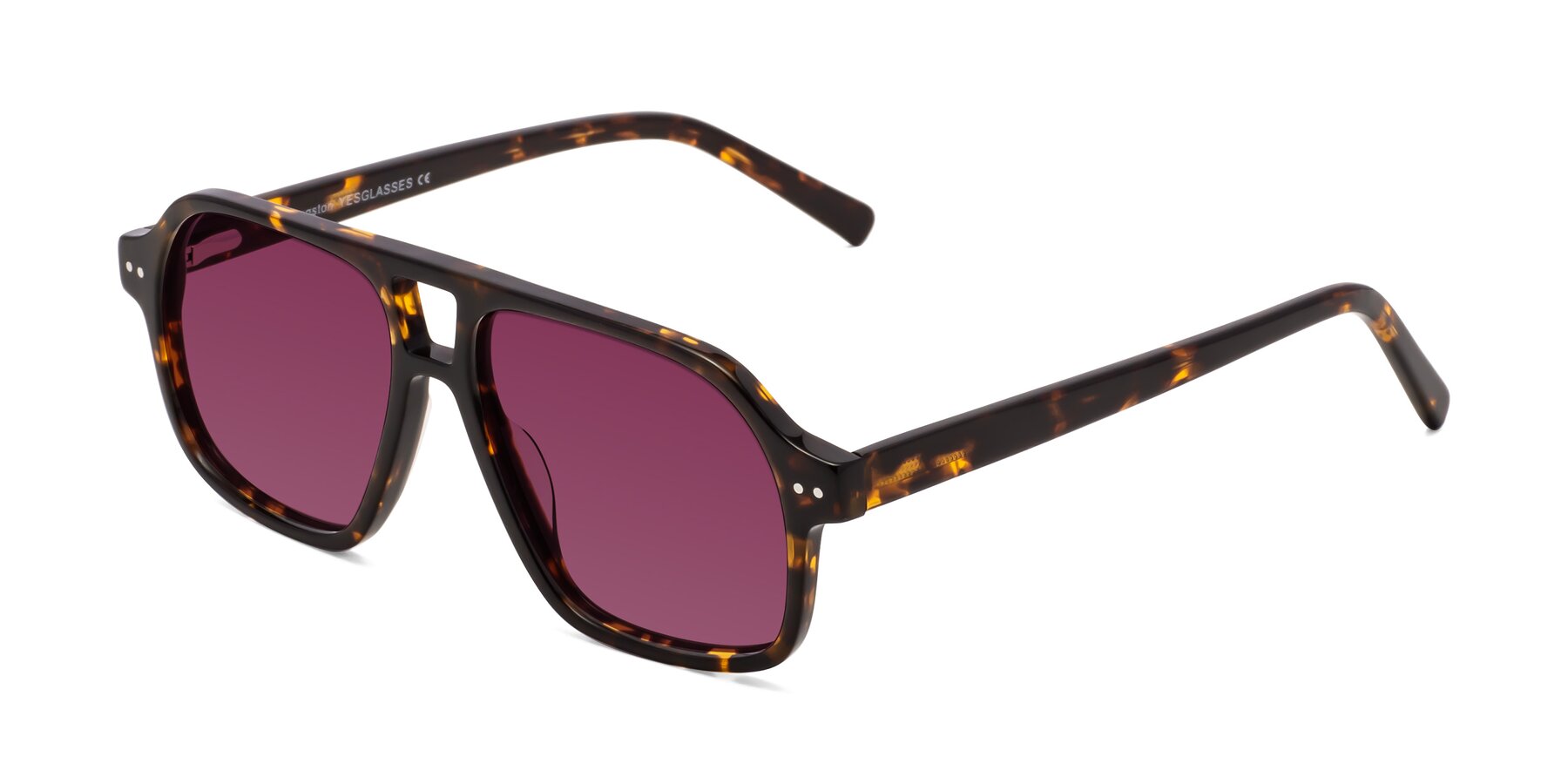 Angle of Kingston in Tortoise with Wine Tinted Lenses