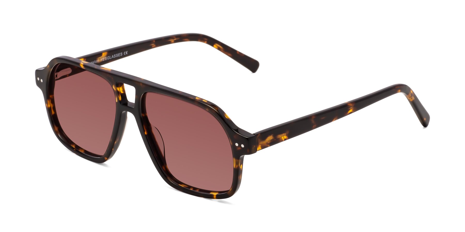 Angle of Kingston in Tortoise with Garnet Tinted Lenses