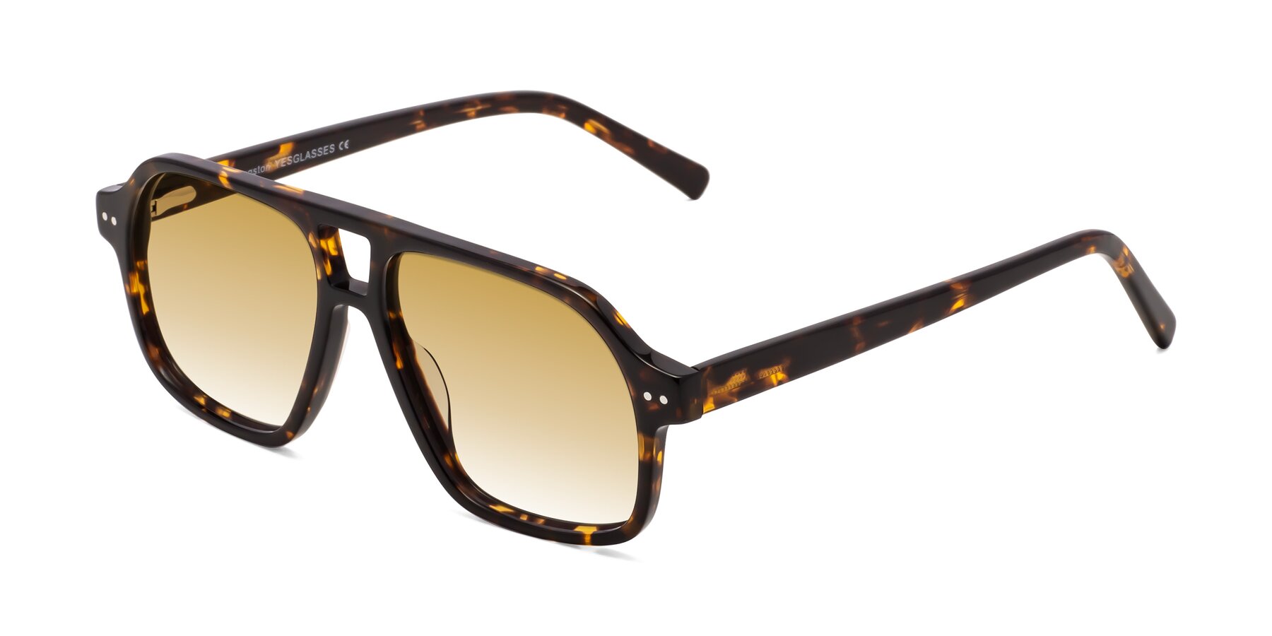 Angle of Kingston in Tortoise with Champagne Gradient Lenses