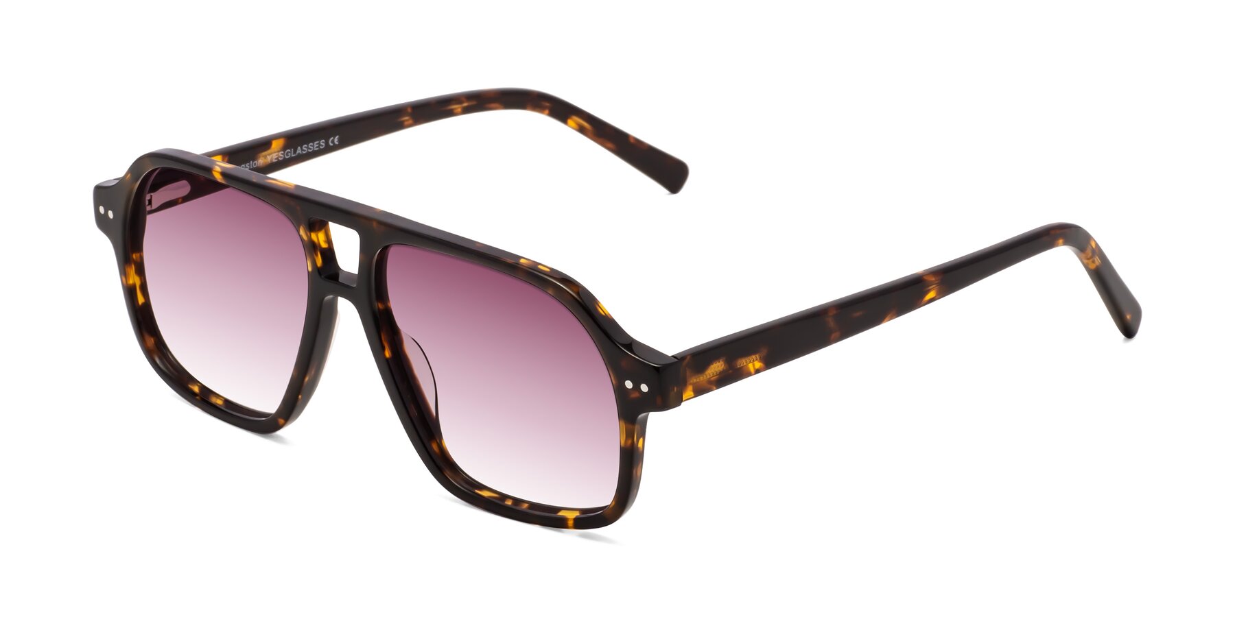 Angle of Kingston in Tortoise with Wine Gradient Lenses